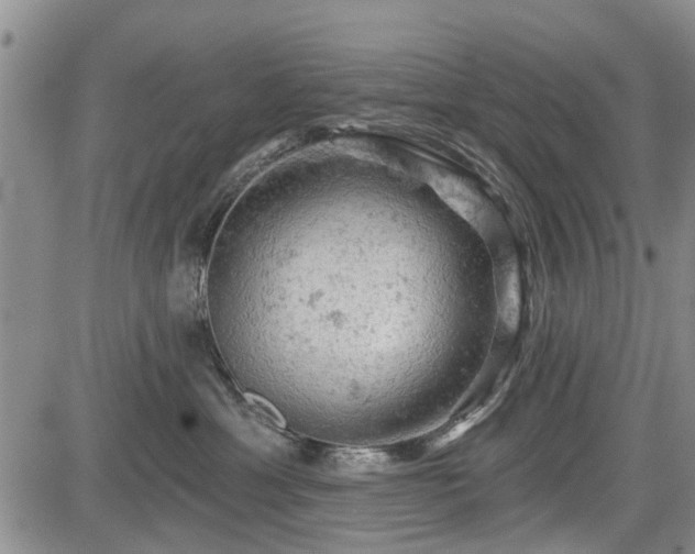 X0000084560429200703021428