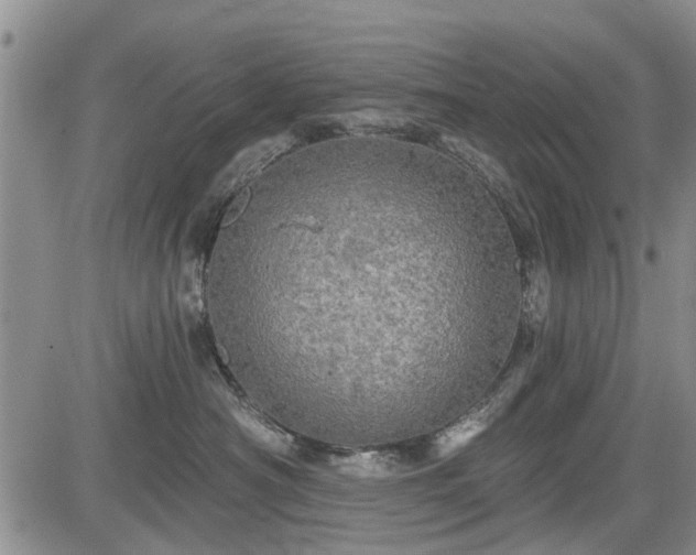 X0000084560430200703021428