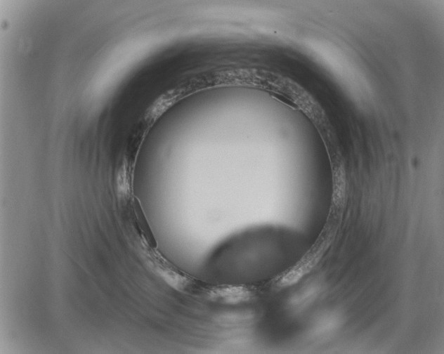 X0000084560431200703021428