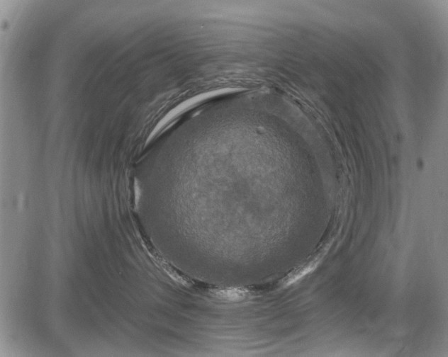 X0000084560432200703021428