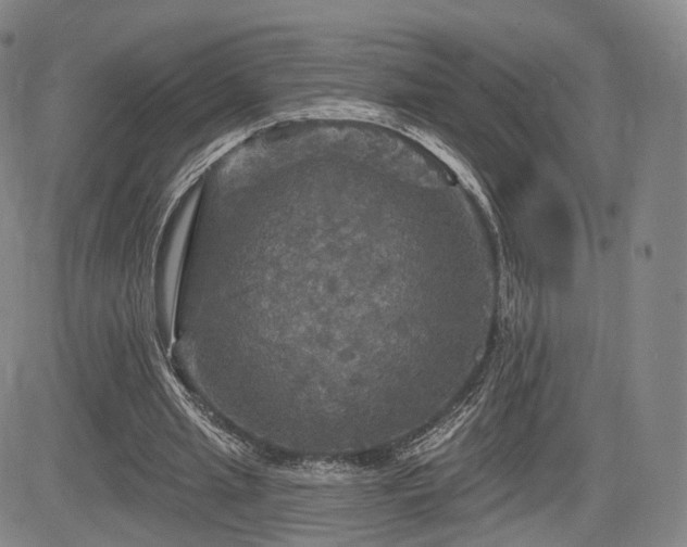 X0000084560437200703021427