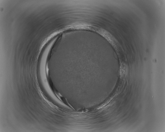 X0000084560438200703021427