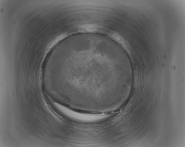 X0000084560439200703021427