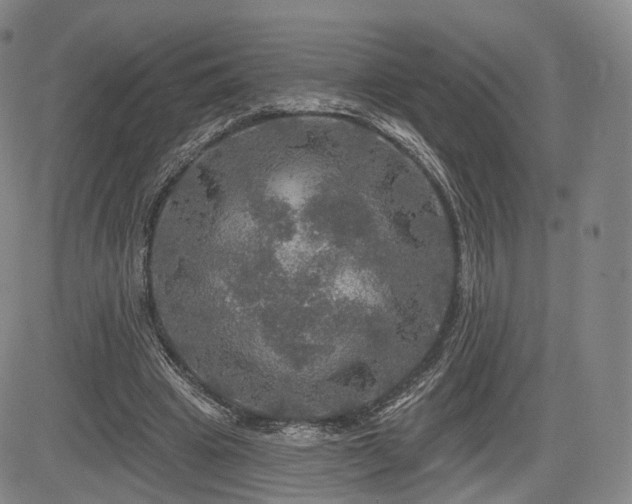 X0000084560441200703021427