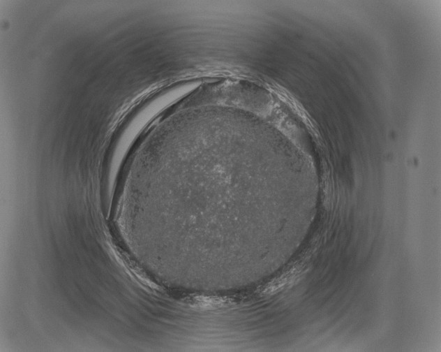 X0000084560442200703021427