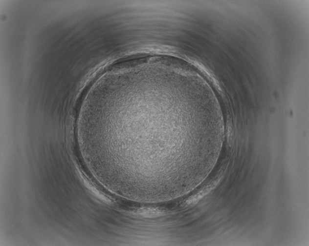 X0000084560445200703021427