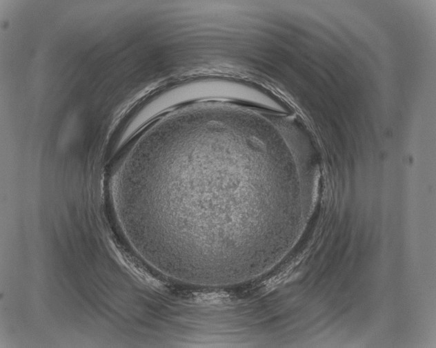 X0000084560446200703021428