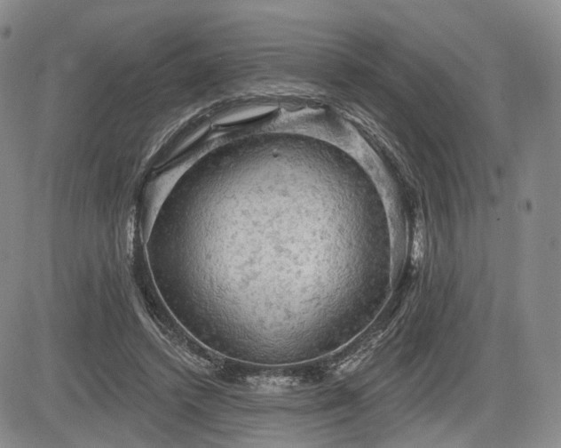 X0000084560448200703021428