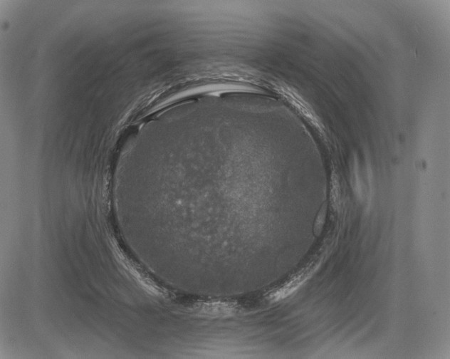 X0000084560449200703021428