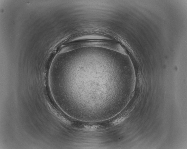 X0000084560450200703021428