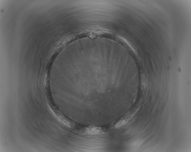 X0000084560451200703021428