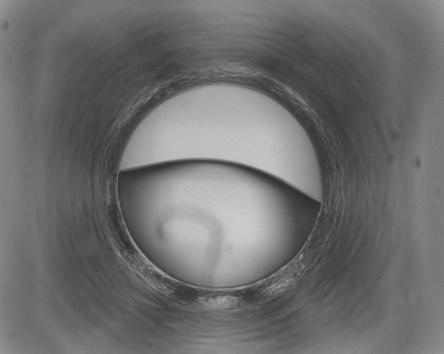 X0000084560452200703021428