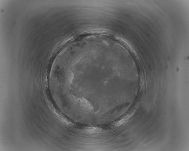 X0000084560453200703021428