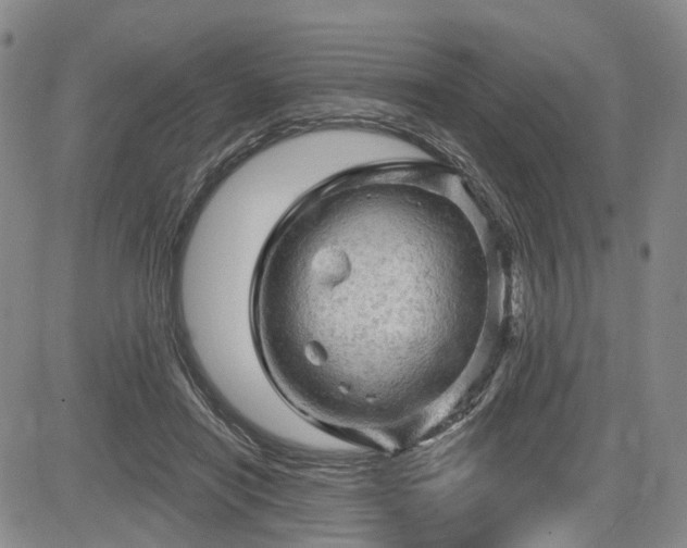 X0000084560454200703021428