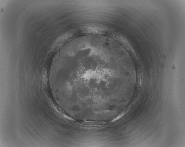 X0000084560457200703021428