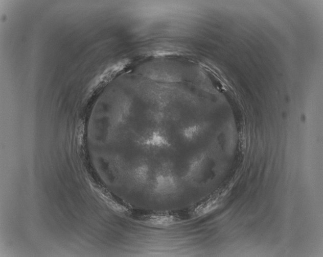 X0000084560458200703021428