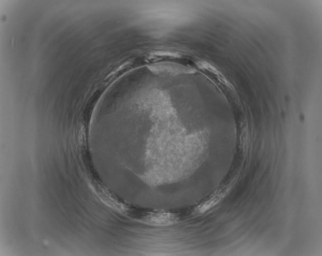 X0000084560459200703021428