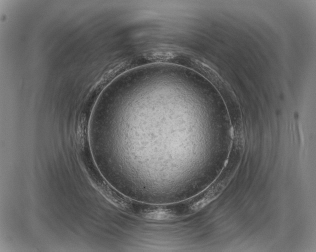 X0000084560460200703021428