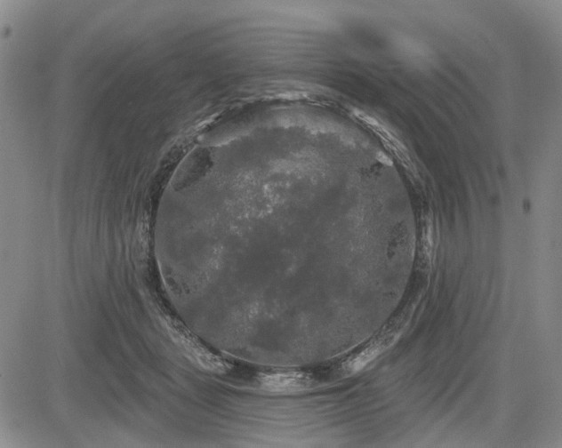 X0000084560461200703021428