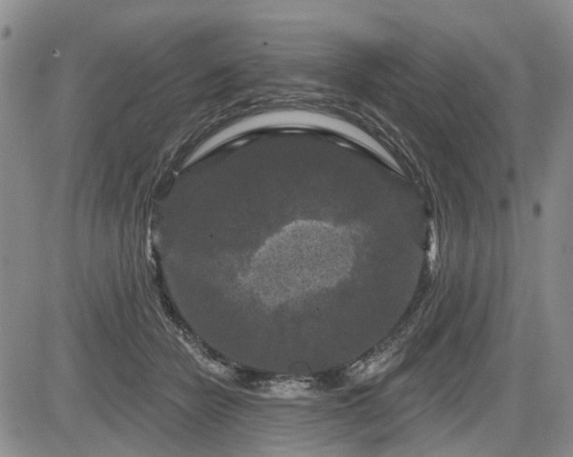 X0000084560462200703021428