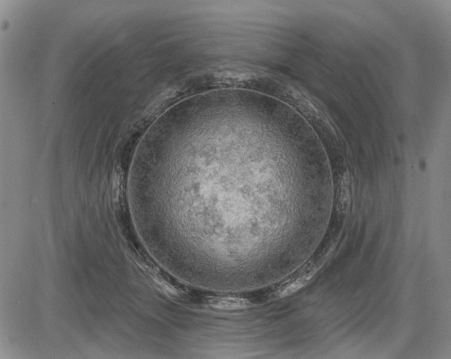 X0000084560463200703021428