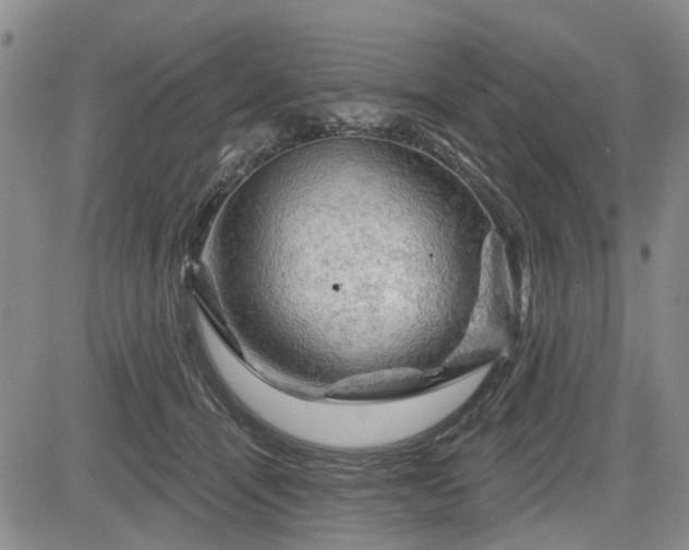 X0000084560464200703021428