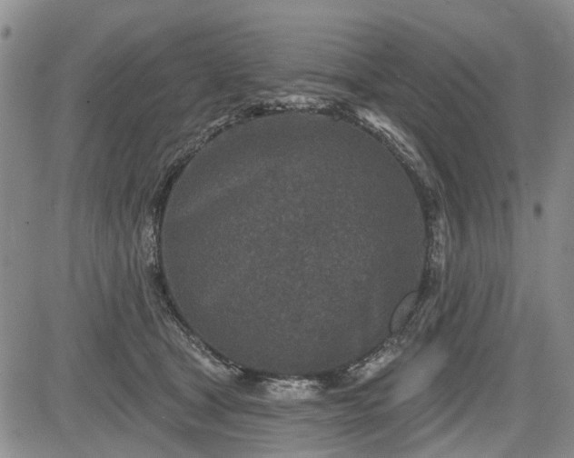 X0000084560465200703021428