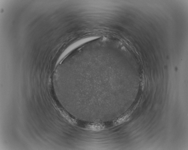 X0000084560466200703021428