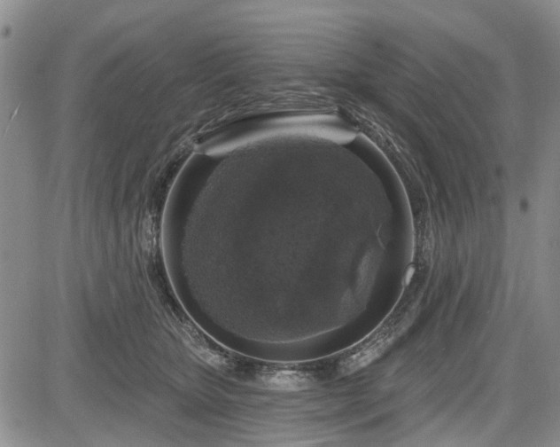 X0000084560467200703021428