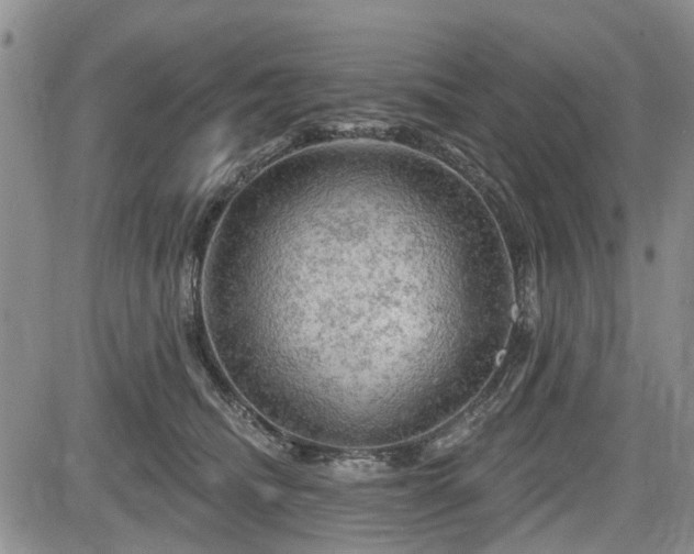 X0000084560468200703021428