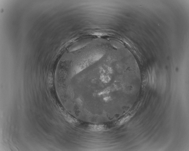 X0000084560469200703021428