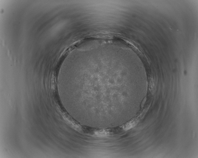 X0000084560470200703021428