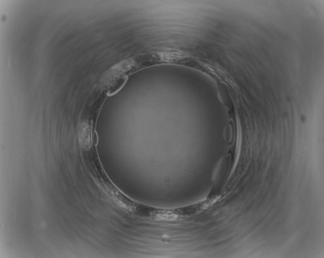 X0000084560471200703021428