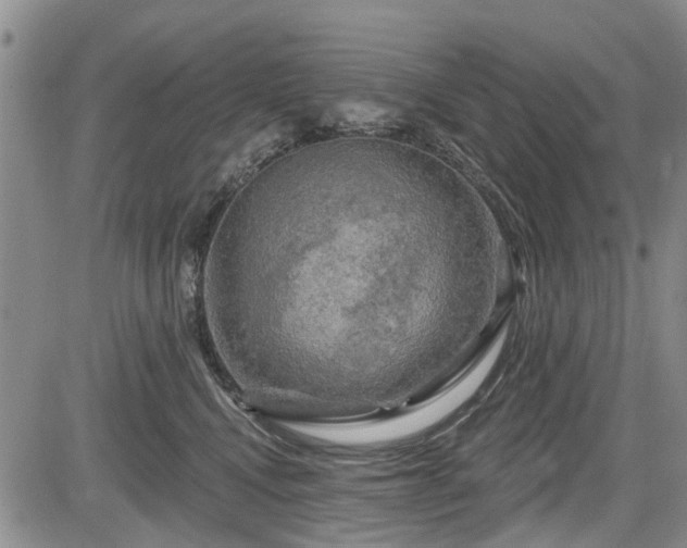 X0000084560472200703021428