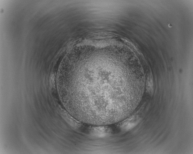 X0000084560473200703021428