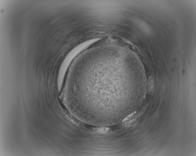 X0000084560474200703021428