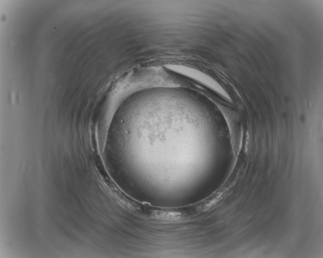 X0000084560476200703021428