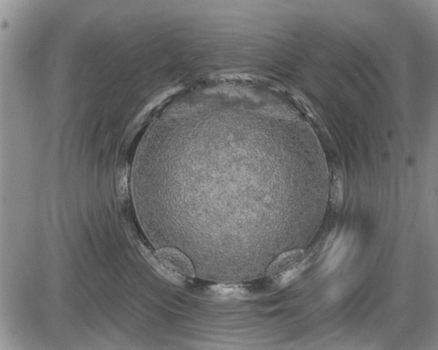 X0000084560477200703021428