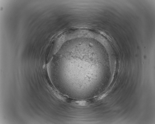 X0000084560478200703021428