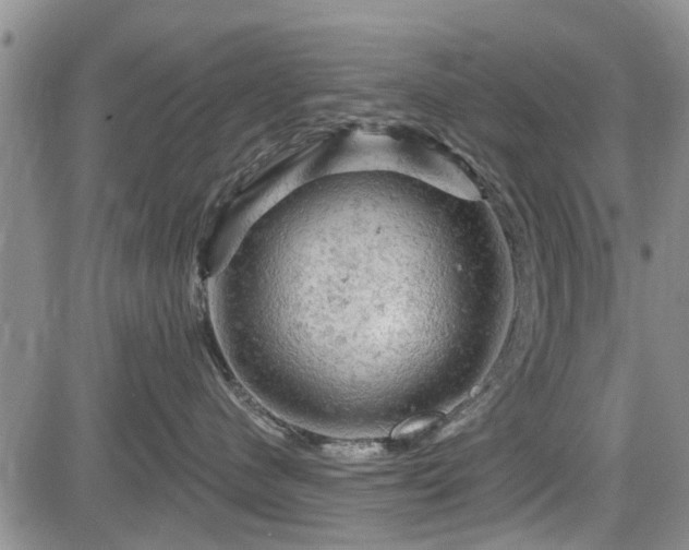 X0000084560480200703021428