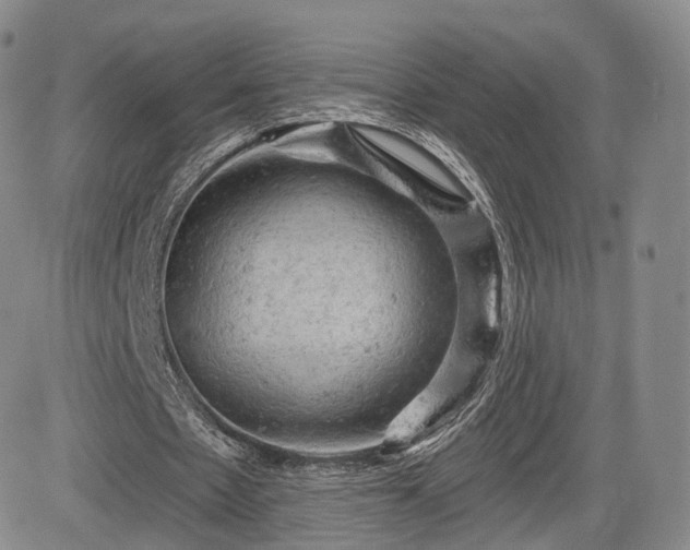 X0000084560481200703021427