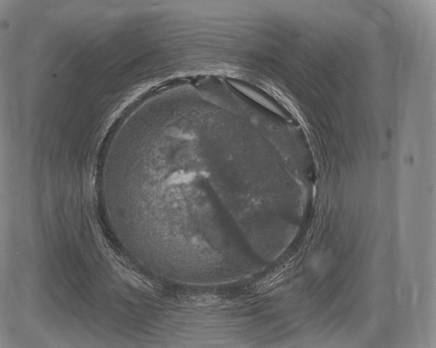 X0000084560483200703021427