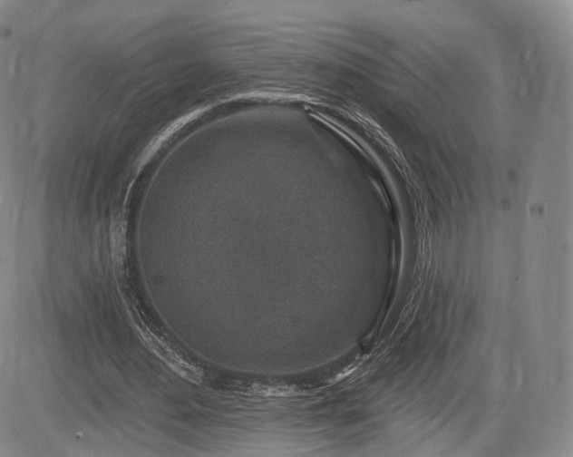 X0000084560484200703021427