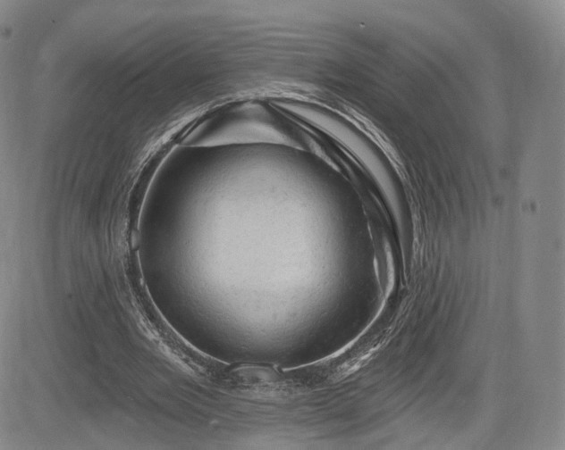 X0000084560485200703021427