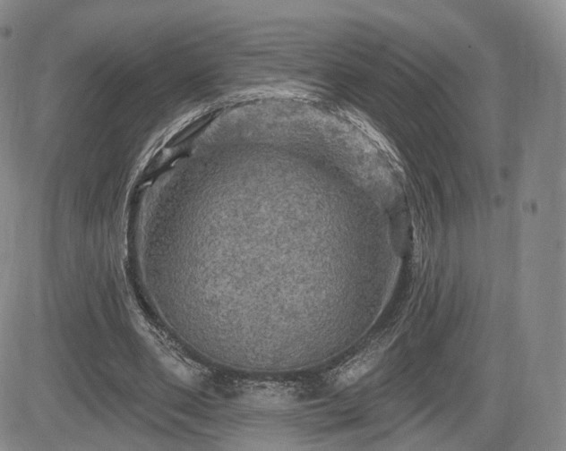 X0000084560486200703021427