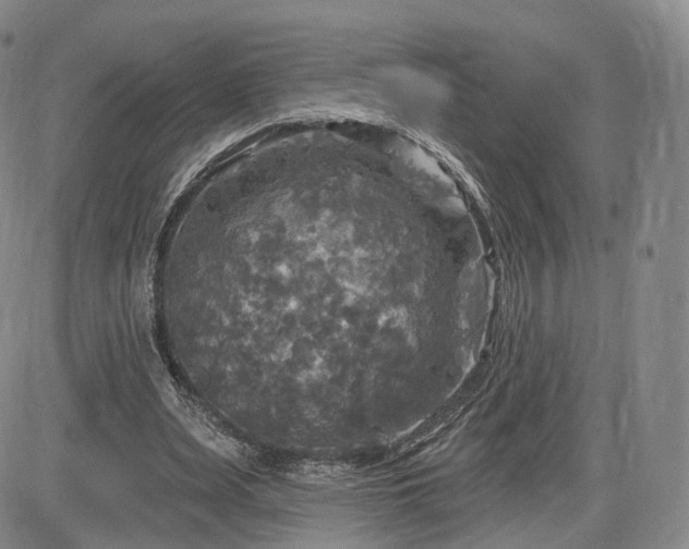 X0000084560487200703021427