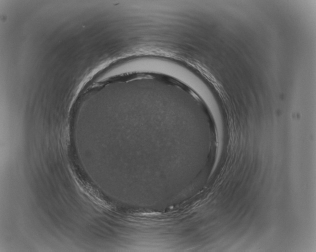 X0000084560488200703021427