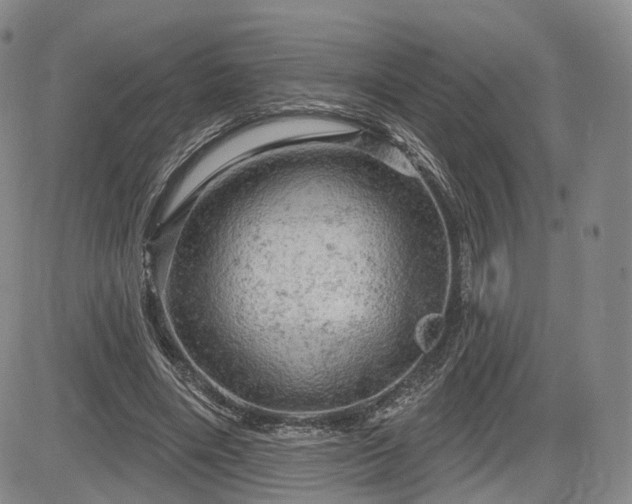 X0000084560490200703021427