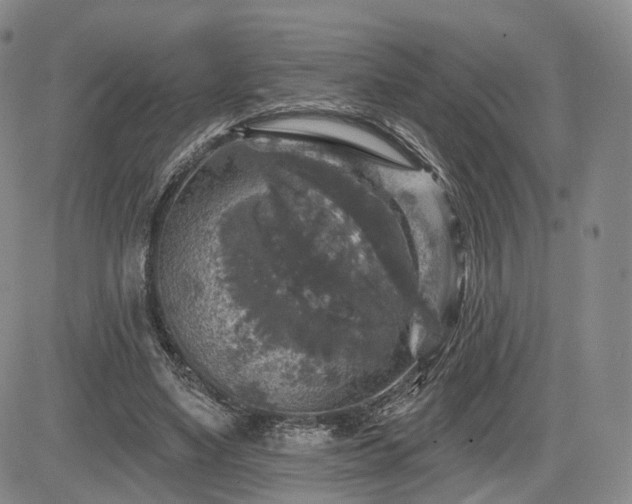 X0000084560491200703021427