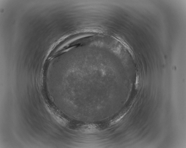 X0000084560492200703021427